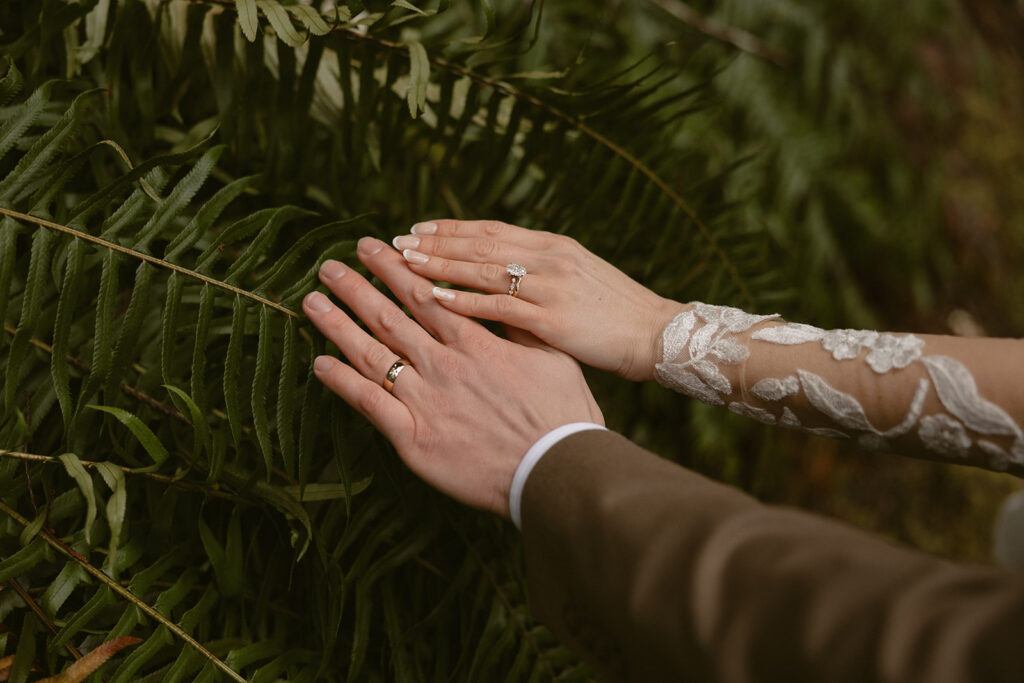 A close-up photo of a bride & groom showing off their new wedding rings as their hands are placed on ferns at their Olympic National Park wedding