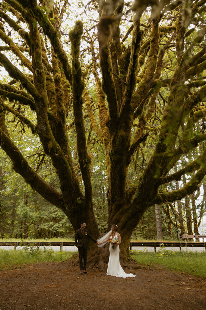 A bride and groom are pictured standing beneath a moss covered tree in the forest at their Olympic National Park wedding
