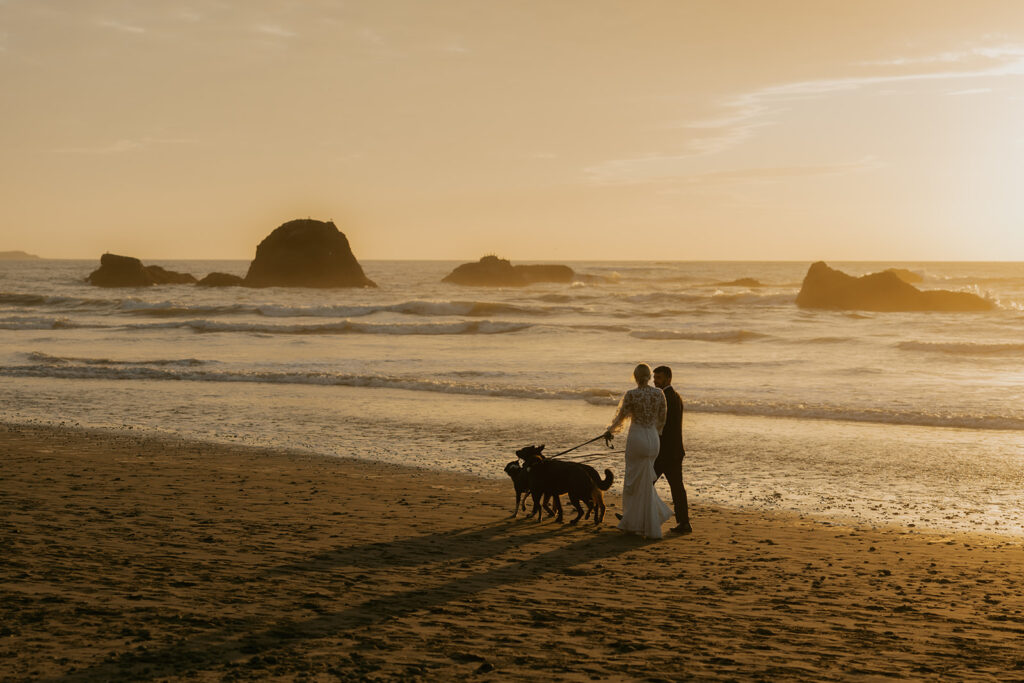 Newlyweds walk their dogs along the shore at sunset following their Ruby Beach elopement