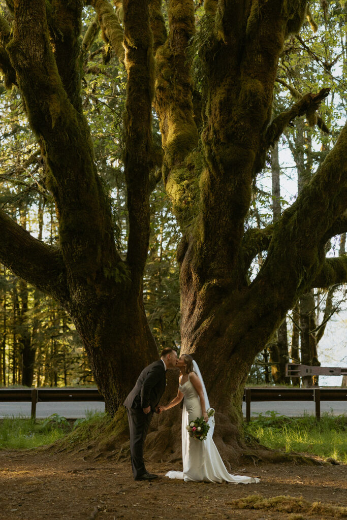Newlyweds are photographed kissing beneath a tree at Lake Crescent, one of the recommended Washington elopement locations.