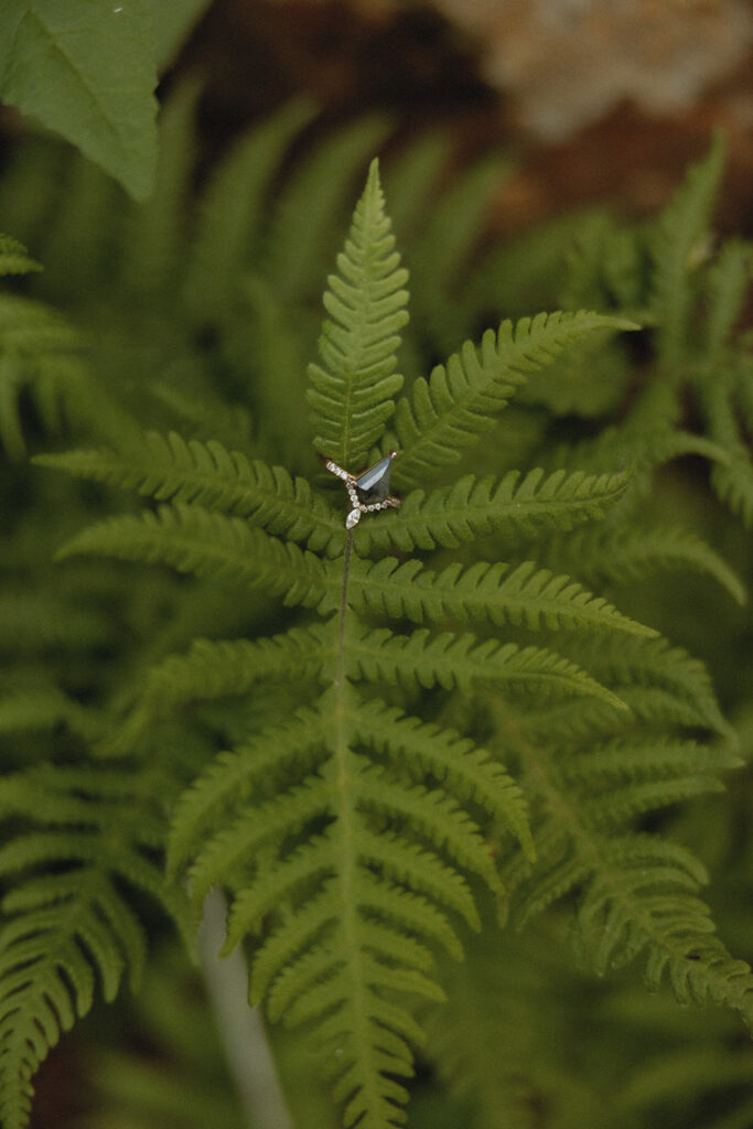 An engagement ring is photographed on a fern leaf at a seattle engagement photography session