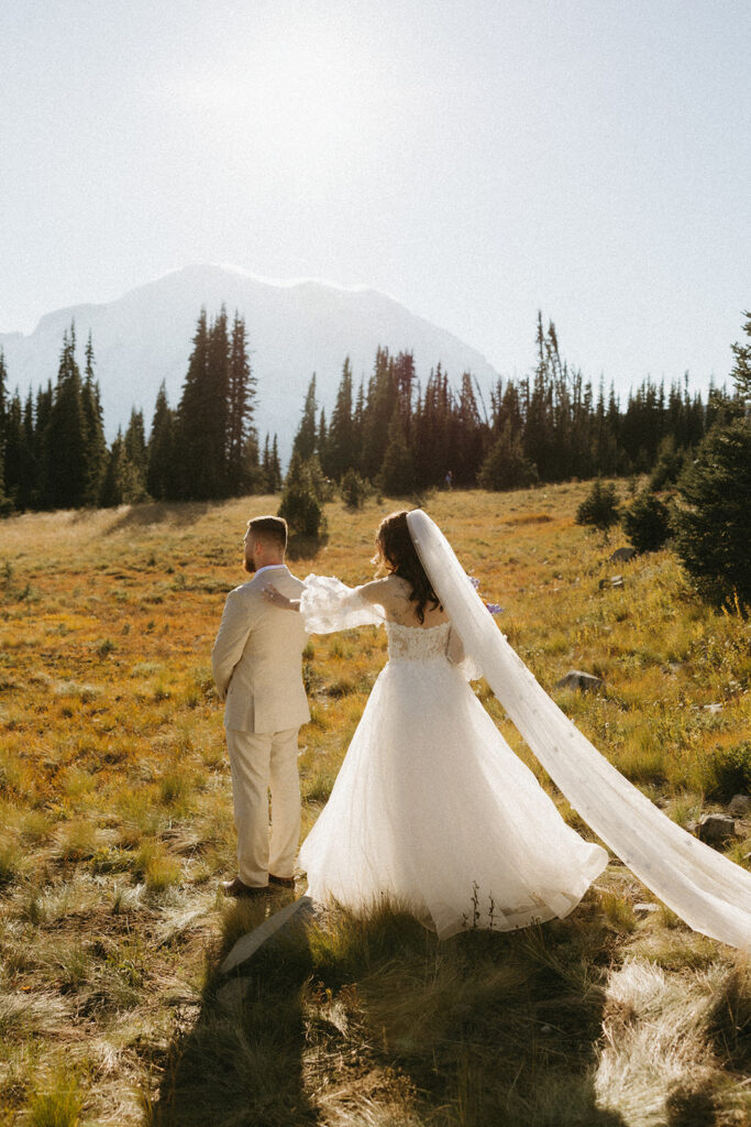 A first look is shown at a mount rainier elopement